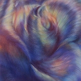 ひかりとかげのひとくさりずつ