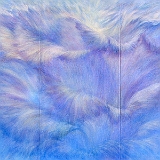 始源の空に羽ばたく